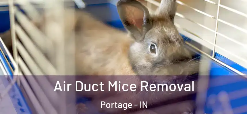  Air Duct Mice Removal Portage - IN