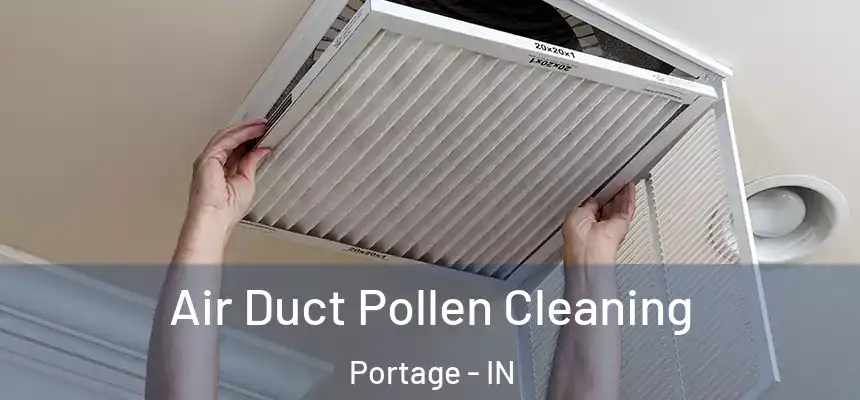  Air Duct Pollen Cleaning Portage - IN