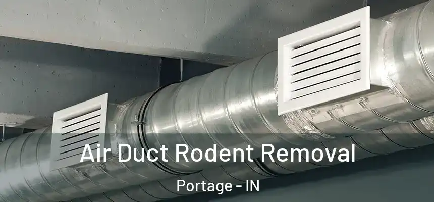  Air Duct Rodent Removal Portage - IN