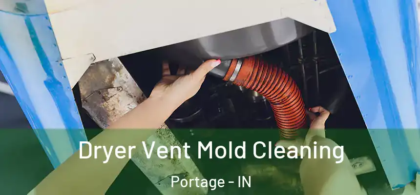  Dryer Vent Mold Cleaning Portage - IN