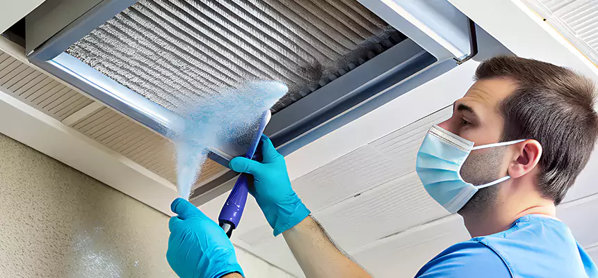 Proactive Dryer Vent & Auxiliary Duct Pollen Cleanup in Portage, IN