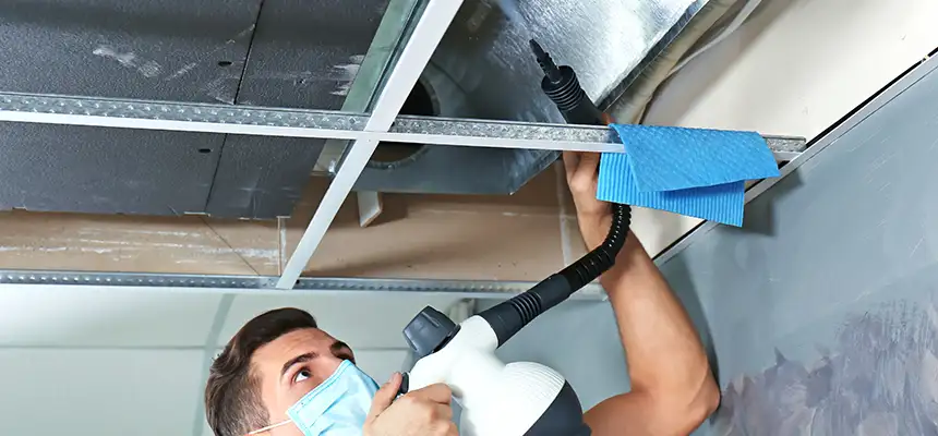 Our Air Duct Rodent Removal Services in Portage, IN