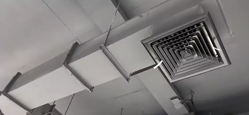 Our Pest Removal From Ducts Services in Portage, IN