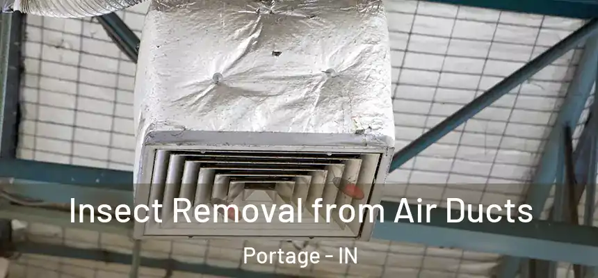  Insect Removal from Air Ducts Portage - IN