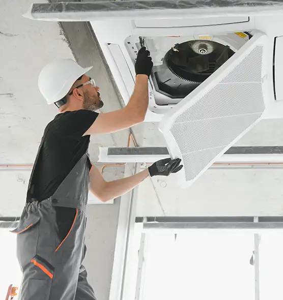 About Air Duct Rodent Removal in Portage, IN